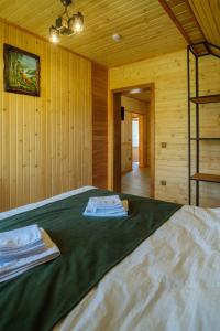 Шепіт Карпат