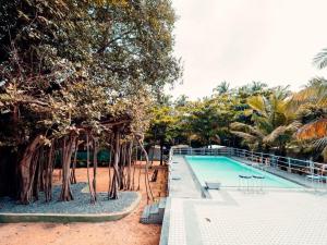 Hotel Moana Cottage Goa Near Sea Beach with Swimming pool -Free Wifi -Parking -Room Service -Best Hotel In Goa