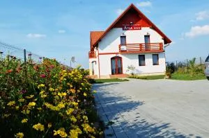 Pensiunea Ana - Botiz