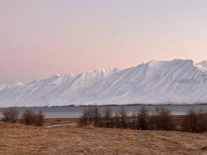 Riverside Dome cabin with skylight