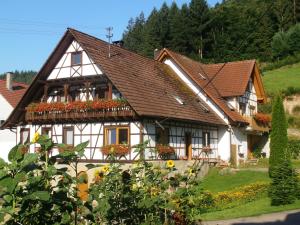 Apartmán Steinhof Oberkirch Německo