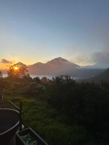 7 Dreams Glamping #5