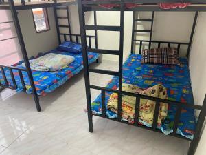 Royal Himalayan Hostel