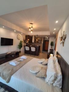 Lazuli Sea View Beachfront Studio Nr 305