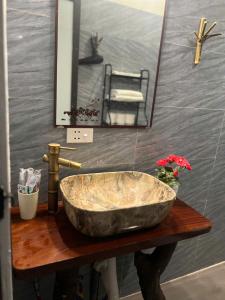 Mai Chau Green house