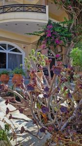 Lenico Beachfront Suites