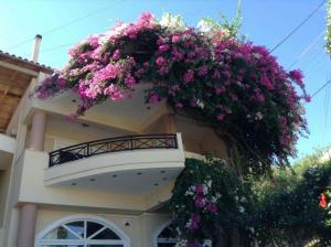 Lenico Beachfront Suites