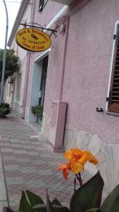 Canne Al Vento img89