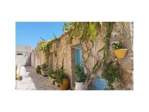 Luimarapartamentmarzamemi