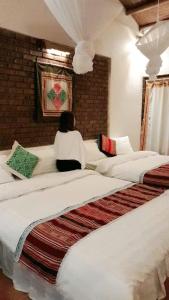 Mai Chau Green house