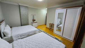 Skyline luxury hotel apartments 5 mins from Cairo Airport