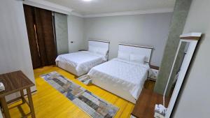 Skyline luxury hotel apartments 5 mins from Cairo Airport
