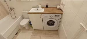 Studio apartment with panoramic window