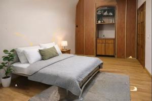 Apartment near the stadium