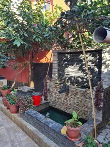 Paru Home 1bhk Apartment