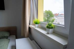Mini apartment perfect for exploring Vienna!