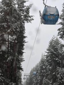 Evelina Palace Hotel