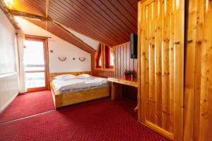 Pensiunea Alpin SPA