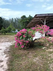 Bansuan Lanta Maikaew