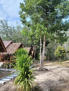 Bansuan Lanta Maikaew