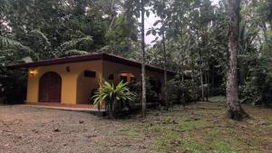 Toucans, Monkeys and Waterfalls- 2BR cottage