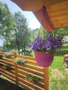 baita samona 1453 - chalet-