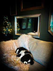 The Nook at Ballyward Croft