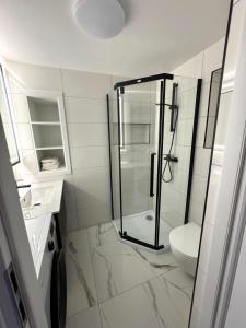 Apartament Dwupoziomowy Litwor