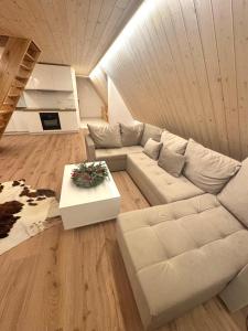 Apartament Dwupoziomowy Litwor