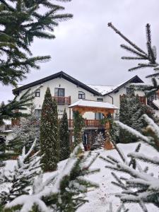 Vila Alpina Maramureș