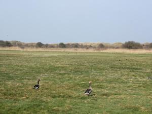 Beautiful luxurious villa situated in Den Burg