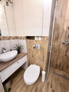 BB Apartment 10 min spacerem do Centrum WIFI Baza wypadowa w BESKIDY