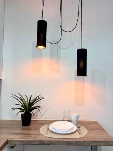 BB Apartment 10 min spacerem do Centrum WIFI Baza wypadowa w BESKIDY