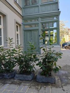 Beach Apartment I Plażowy Happy Hours