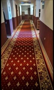 Dino privates apartments Emerald