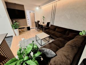 Apartament Polna 21