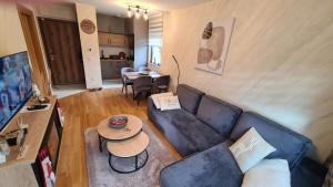 Holiday Residence Zlatibor free garage