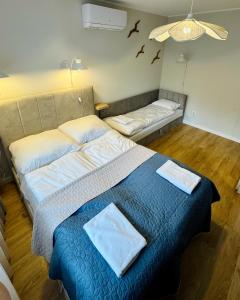 Modrzewiowa Przygoda