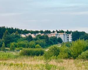 Modrzewiowa Przygoda