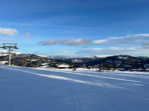 Leilighet Ski inout, golf