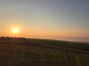 Ferienwohnungen im Weinhof Martin