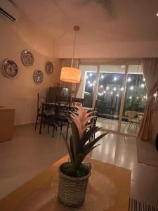 Apartment in Nuevo Vallarta