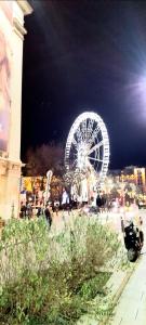 Home City Center Terrace Apartment