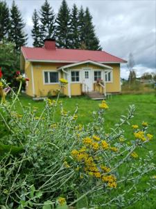 Peaceful house for relaxing