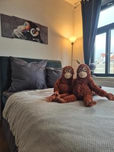 Monkey Magic Mansion 2 BR, next to tram and lake