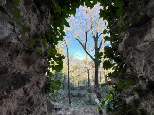 La Finestra nella Rocca