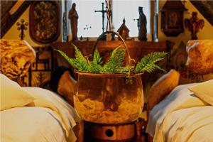 CamPetrus - Siedlisko Opowieści i Wypoczynku