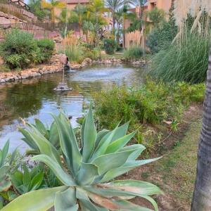 Spacious family paradise