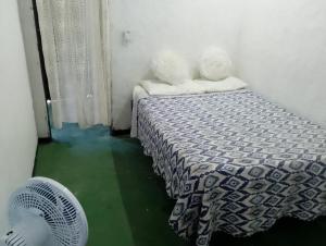 Cantinho do Canal Palmer