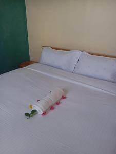 Longonot View Camp and Accommodation, Naivasha